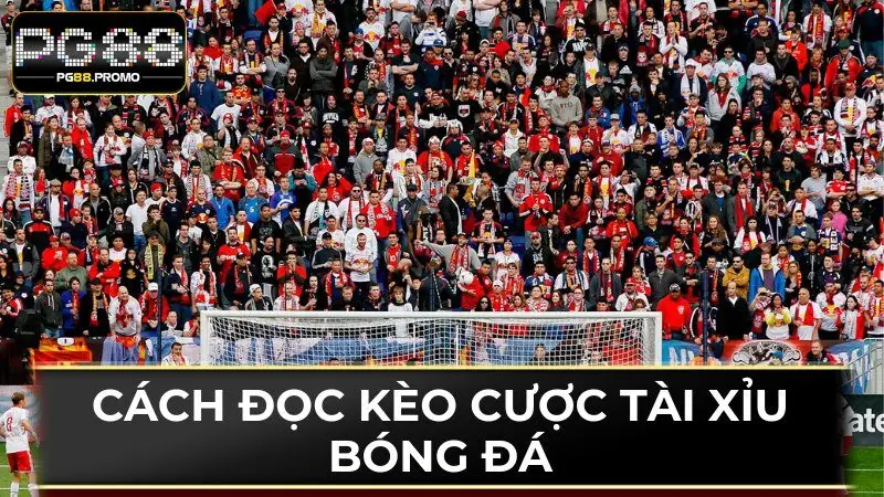 Làm thế nào để trở thành “master” đọc kèo hay nhất? 