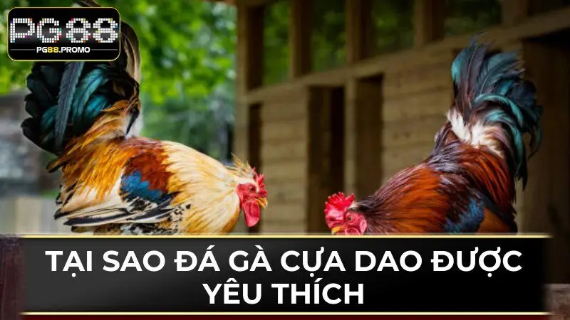 Điều khiến bộ môn này được hội viên PG88 yêu thích là gì?